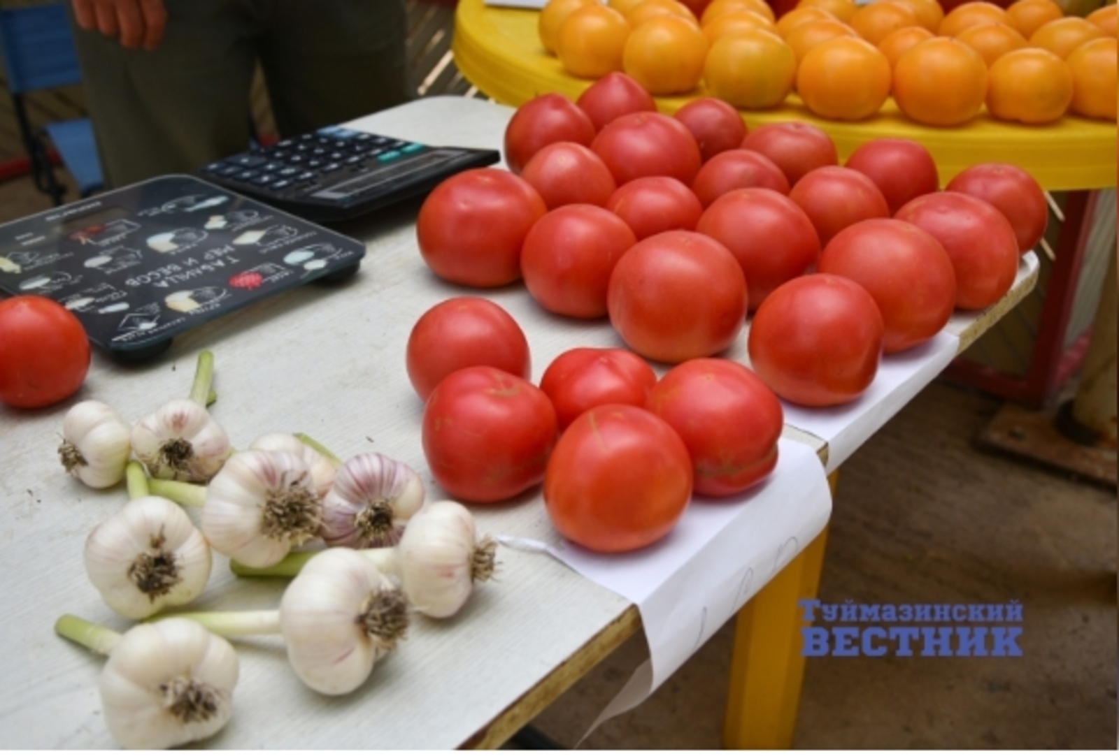 БР Башлығы баҡсасыларға төҙөлгән сауҙа урындары менән ҡәнәғәт түгел