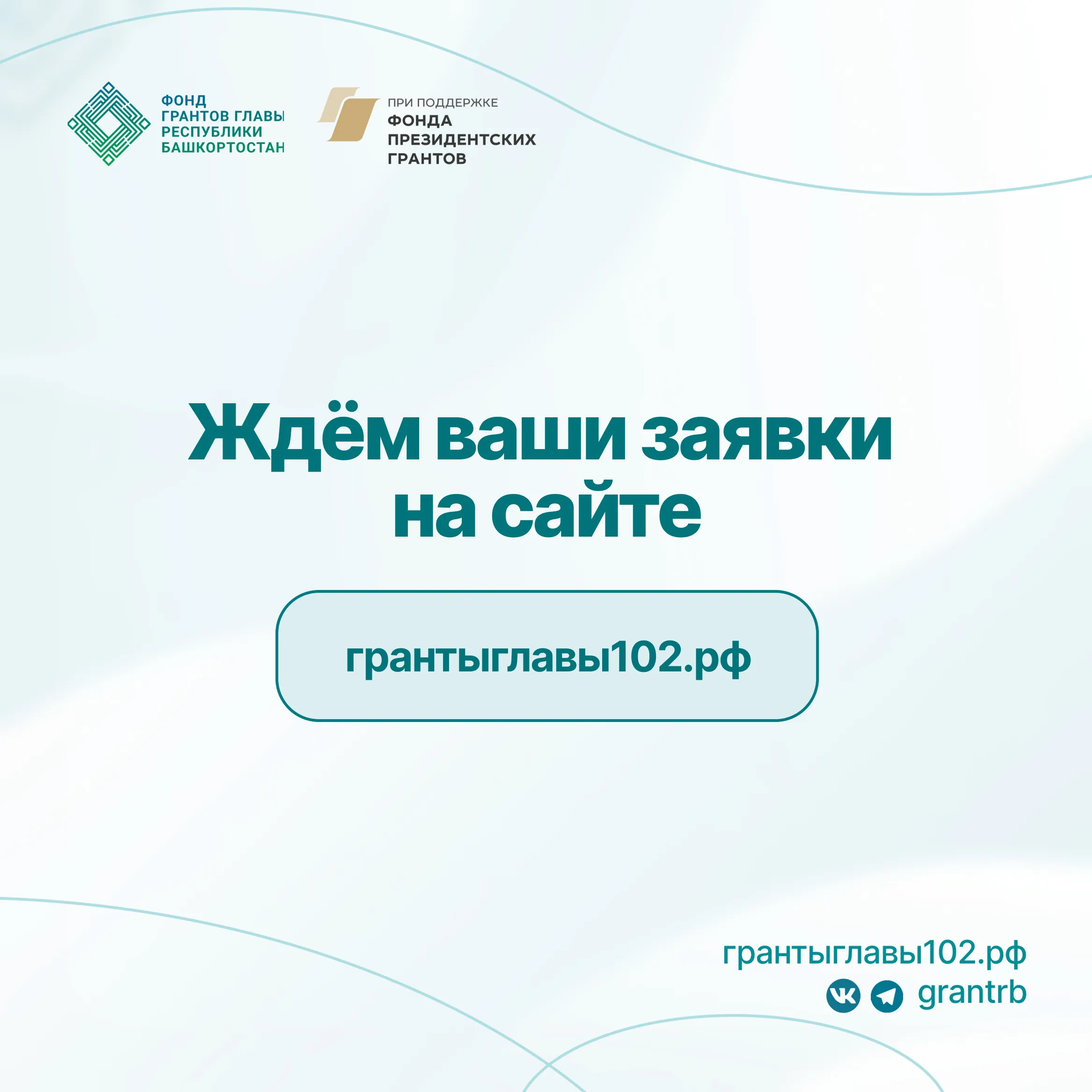 Стартовали гранты для начинающих НКО