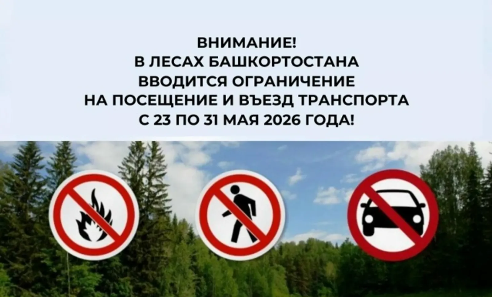 Урманға инеү тыйыла!