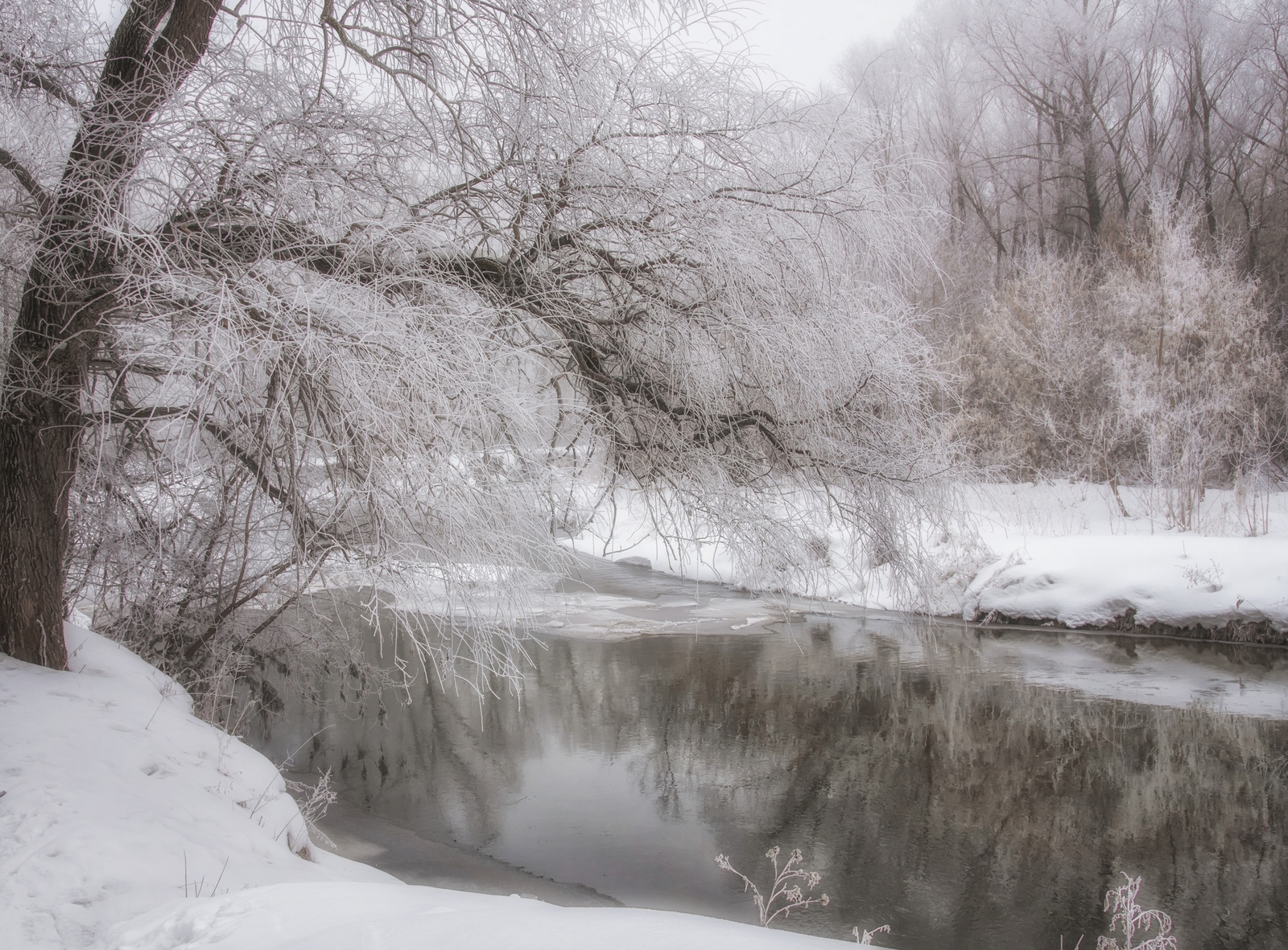 В ближайшие 10 дней в Башкортостане будет аномально тепло