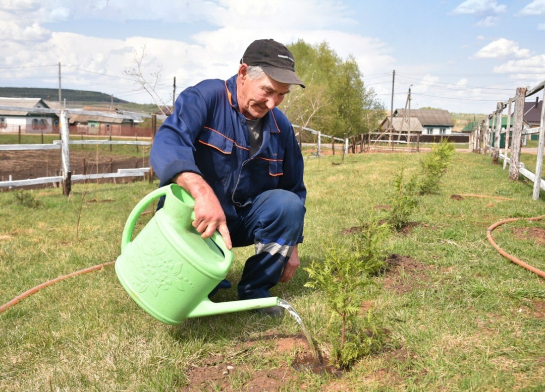 Иҫке Туймазы ауылында Йылға урамындағы дүрт йортта йәшәүселәр яңы аллея ултыртты