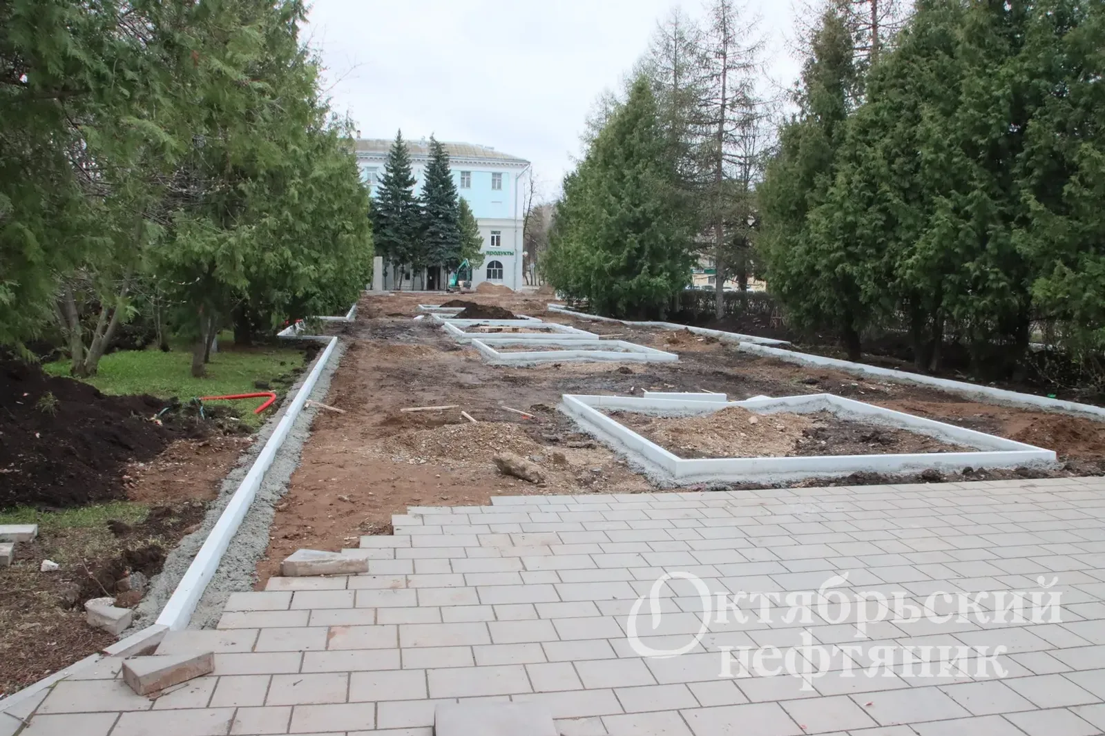 Милли проект ярҙамында Октябрьский парктары төҙөкләндерелә